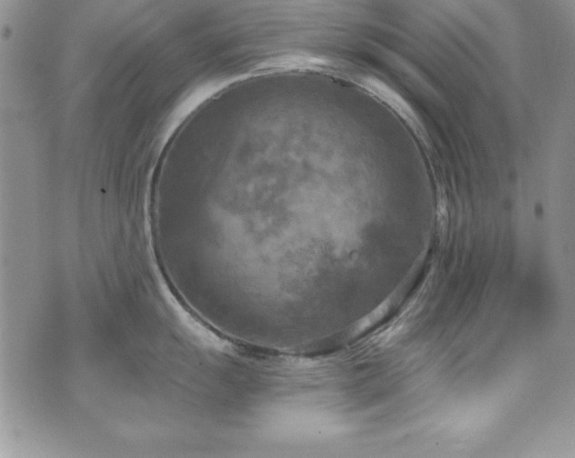 X0000073861055200608101245