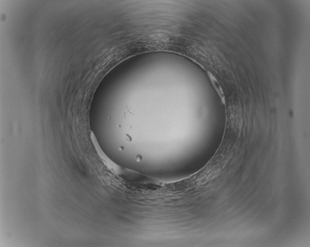 X0000073861057200608101245