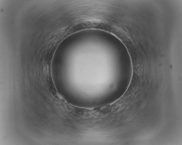 X0000073861061200608101245