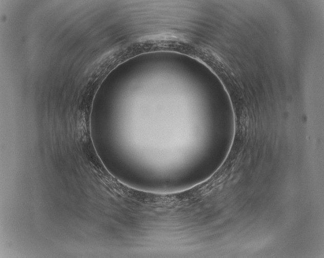 X0000073861062200608101245