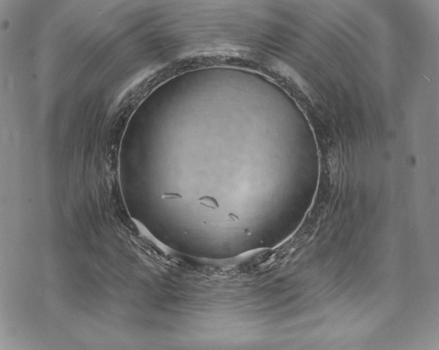 X0000073861064200608101245