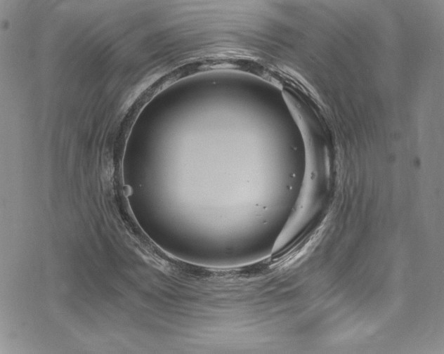 X0000073861065200608101245