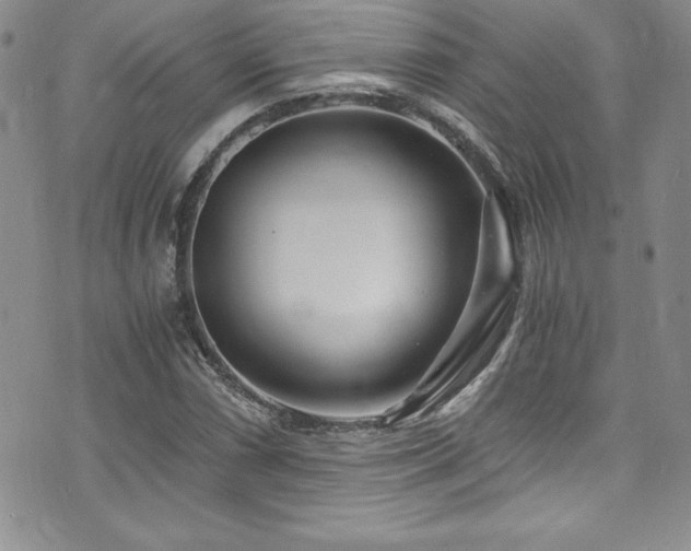 X0000073861066200608101245