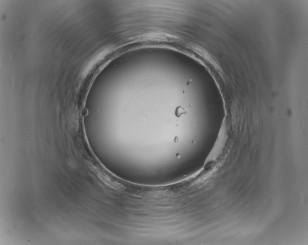 X0000073861067200608101245