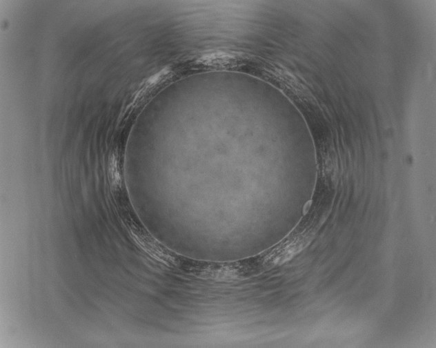 X0000073861106200608101243