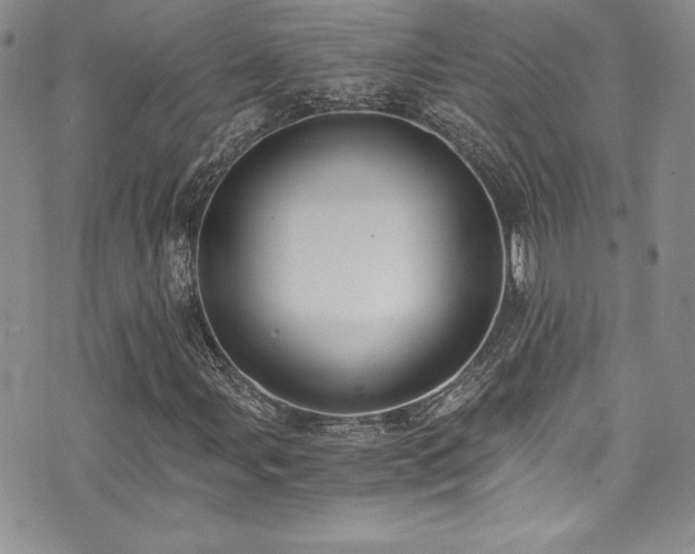 X0000073861107200608101243