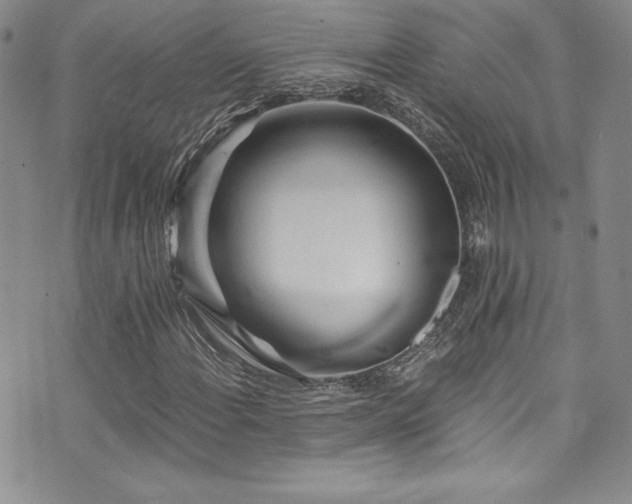 X0000073861108200608101243