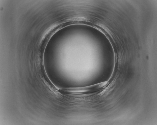X0000073861115200608101243