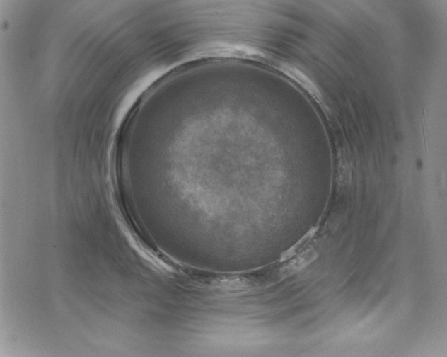 X0000073861128200608101244