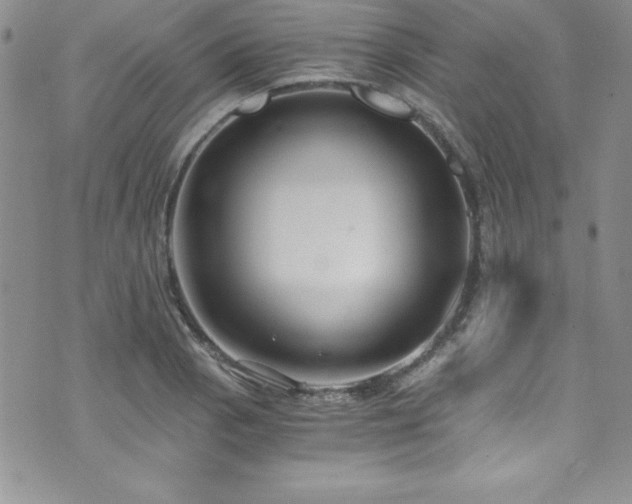 X0000073861129200608101244