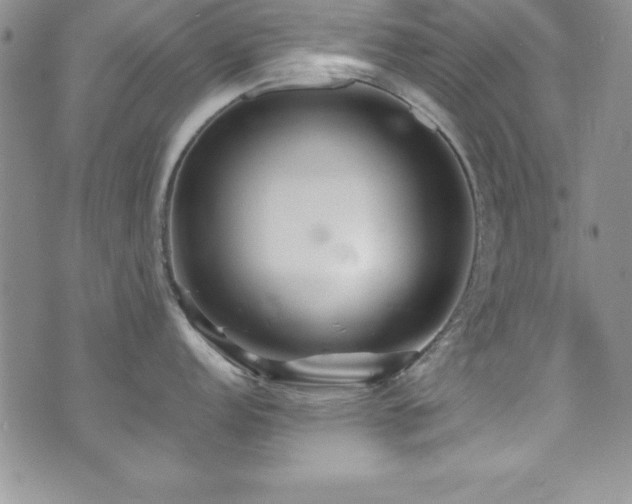 X0000073861152200608101244