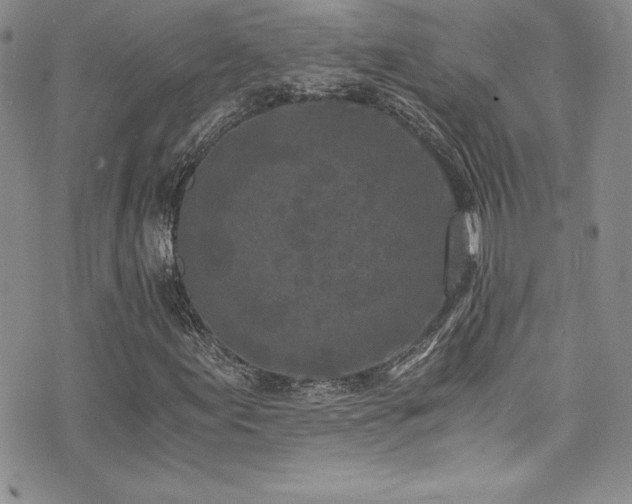 X0000073861155200608101243