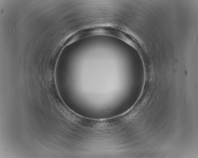X0000073861169200608101243