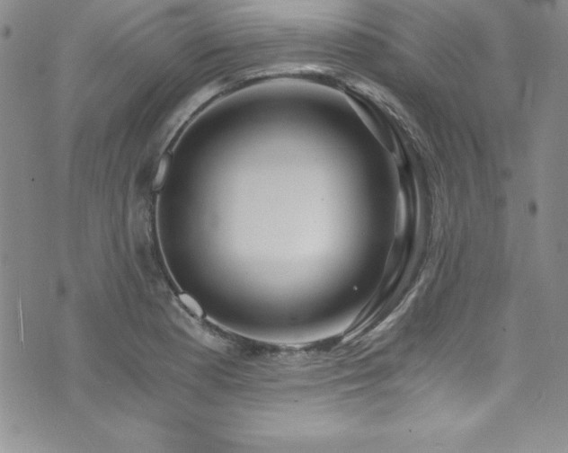 X0000073861177200608101243