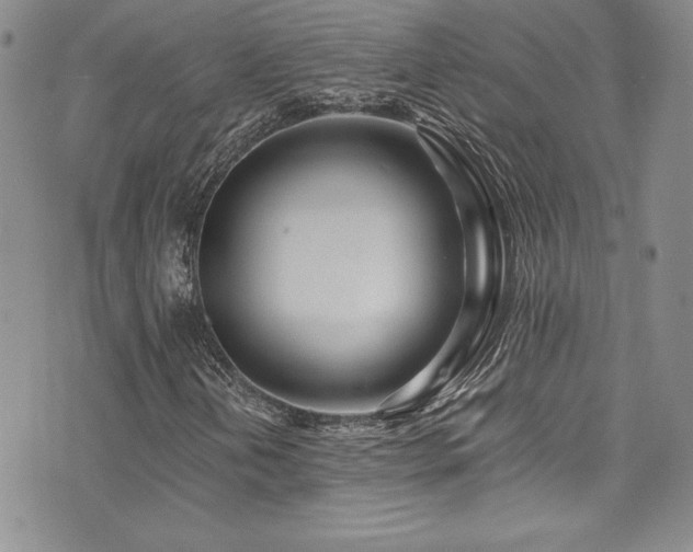 X0000073861202200608101242