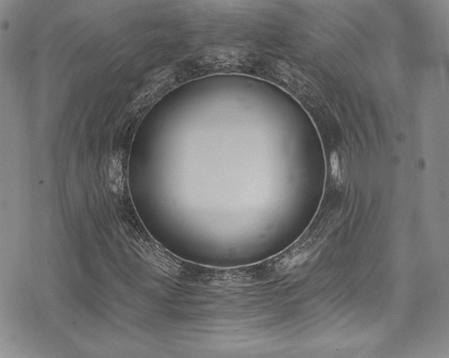 X0000073861203200608101242