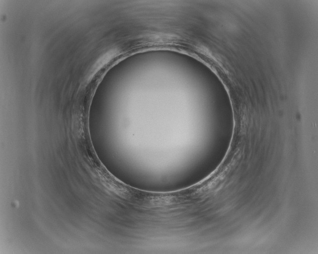 X0000073861211200608101242