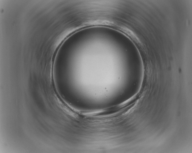 X0000073861228200608101242