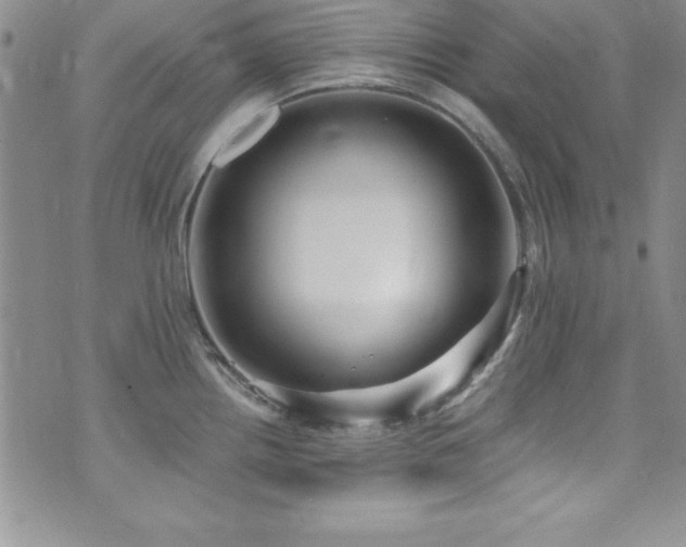 X0000073861242200608101242