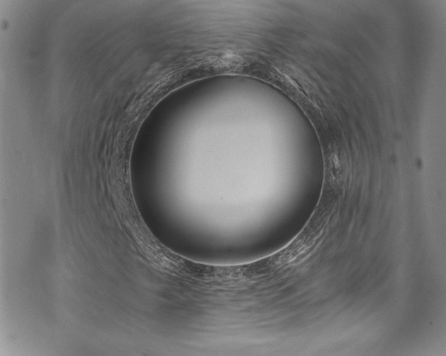 X0000073861249200608101242