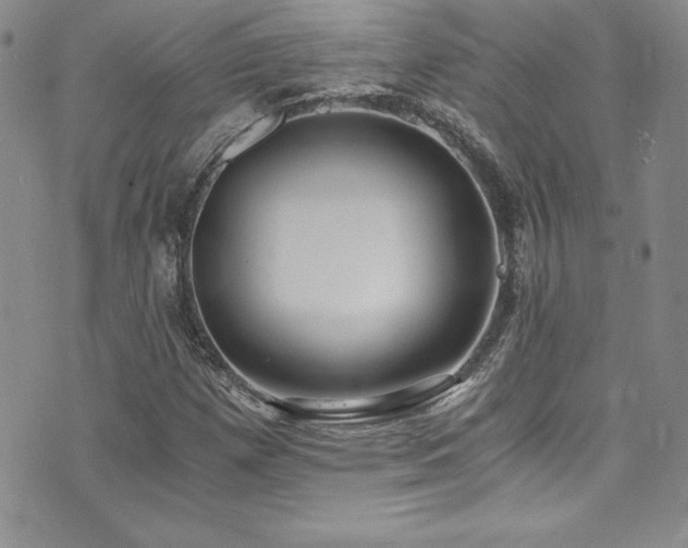X0000073861257200608101241