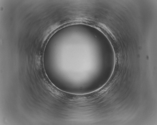X0000073861260200608101241