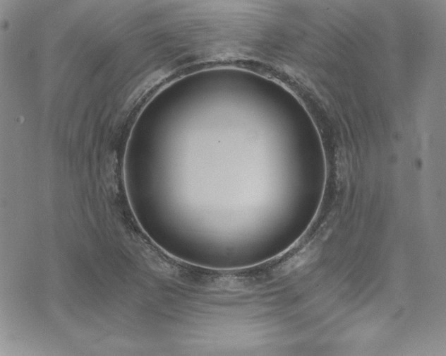 X0000073861265200608101241