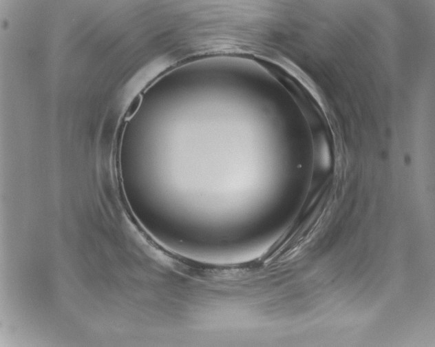 X0000073861293200608101241