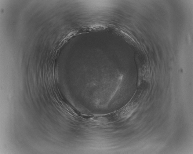 X0000073861298200608101240