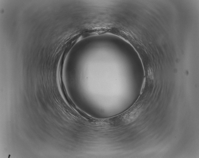 X0000073861300200608101240