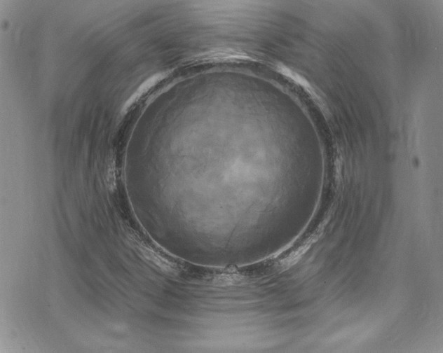 X0000073861306200608101240