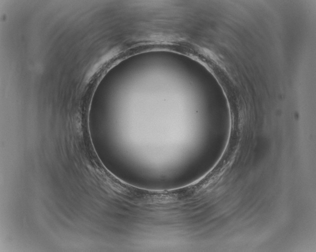 X0000073861307200608101240