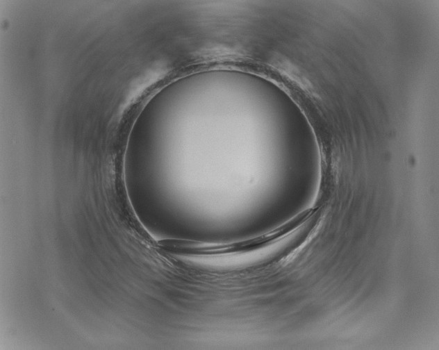 X0000073861309200608101240