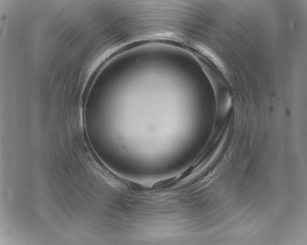 X0000073861324200608101240