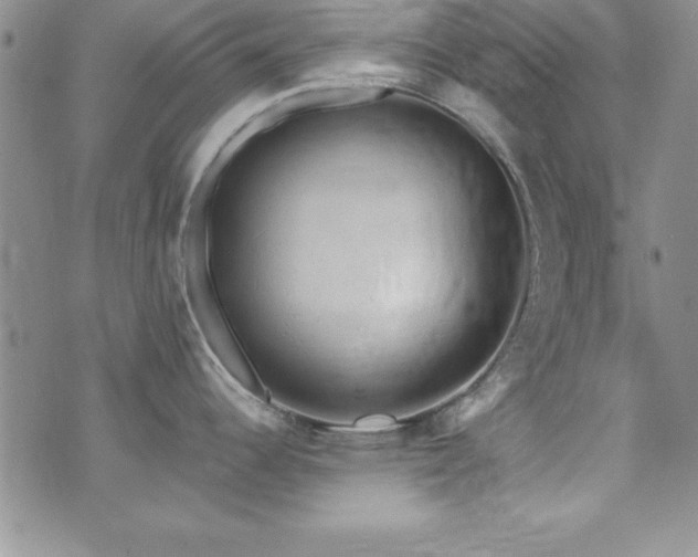 X0000073861344200608101241