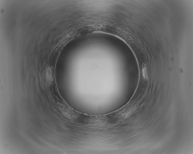 X0000073861347200608101240