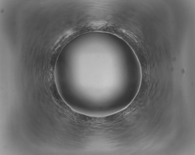 X0000073861349200608101240