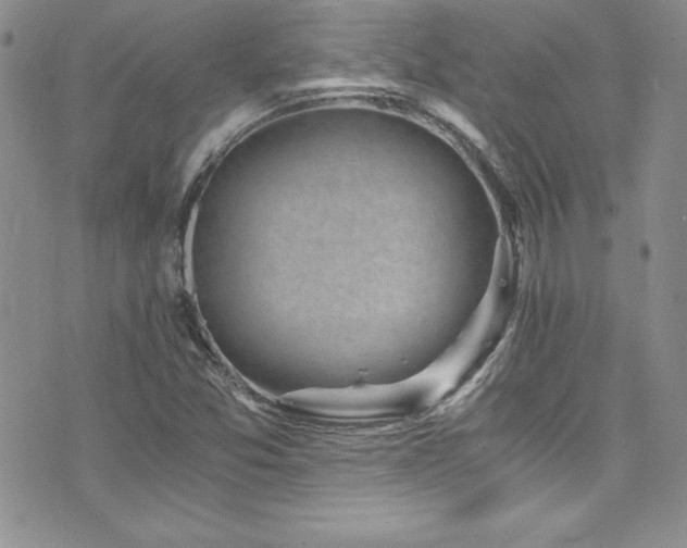 X0000073861357200608101240