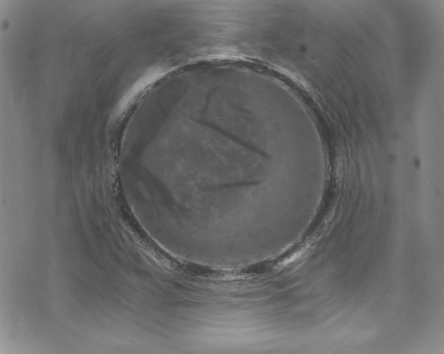 X0000073861359200608101240