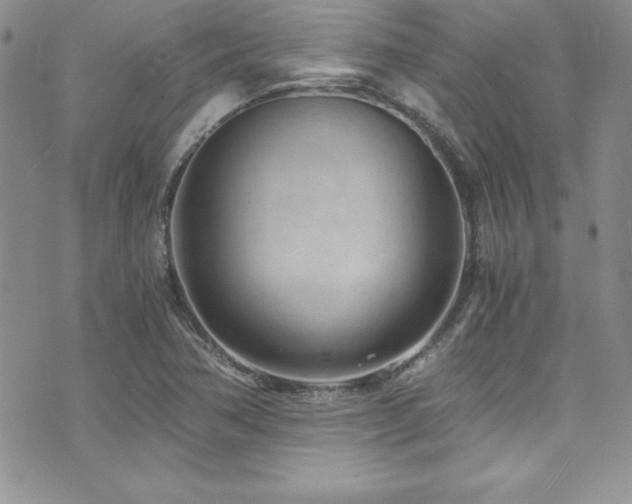 X0000073861362200608101240