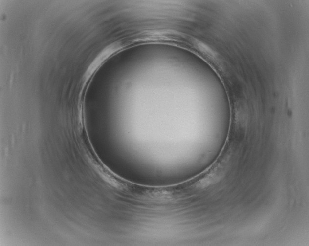 X0000073861370200608101240