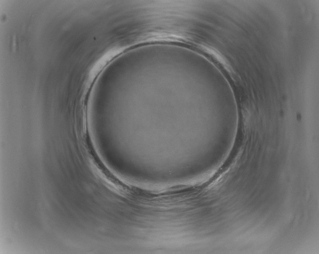 X0000073861371200608101240