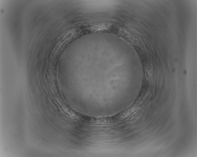 X0000073861393200608101238
