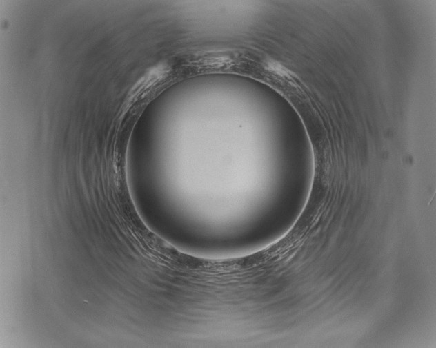 X0000073861394200608101238
