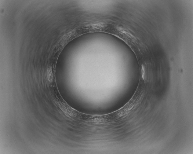 X0000073861395200608101238