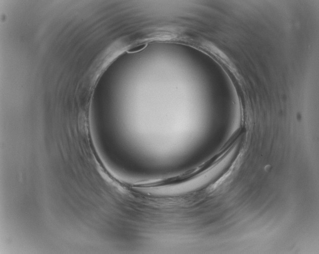 X0000073861433200608101239