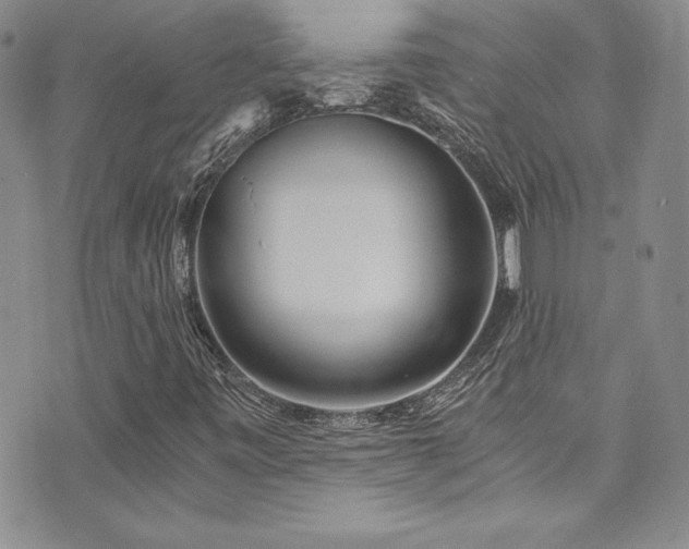 X0000073861443200608101238