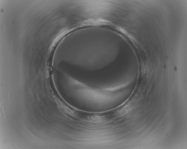 X0000073861459200608101238