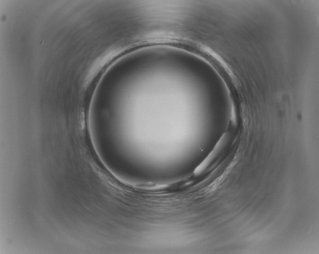 X0000073861461200608101238