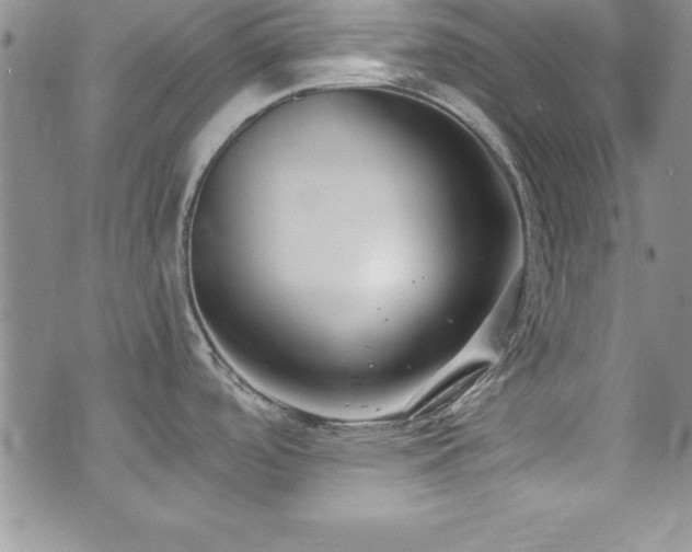 X0000073861488200608101238